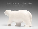 16" L'ours polaire parfait par Tuk Nuna
