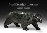 Ours parfumé 16" par Noah Jaw *Nugget*