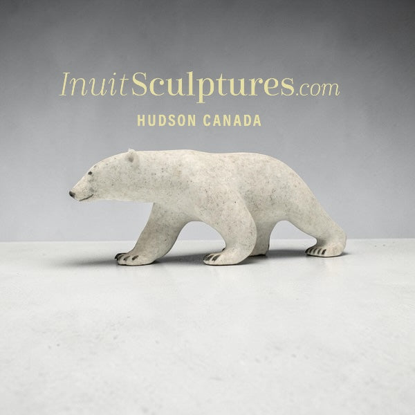 Ours polaire en marche de 35,5 cm (14 pouces) par Paul Malliki *Walkabout*