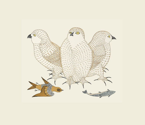 2023 Cape Dorset Summer Print Collection Young Owls with Catch, 1983 by Kananginak Pootoogook