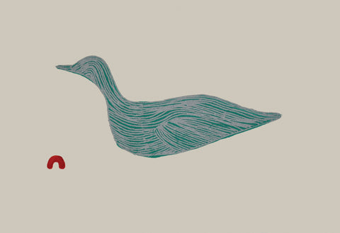 2025 Guillemot by PAUOJOUNGIE SAGGIAK