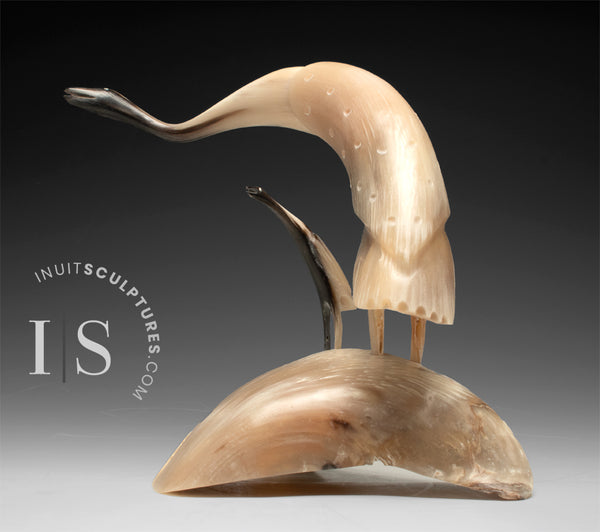 BIG HEARTED 16" Muskox Horn Crane and Baby by Buddy Alikamik *Sight Lines*