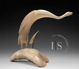 BIG HEARTED 16" Muskox Horn Crane and Baby by Buddy Alikamik *Sight Lines*