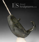 14" Museum Calibre Narwhal by Paul Malliki