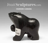 Ours qui marche 4" par David Shaa *Bryson*