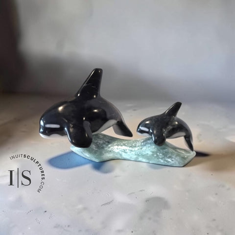 8” SIGNATURE Orcas by Johnnysa Mathewsie *In Cahoots*