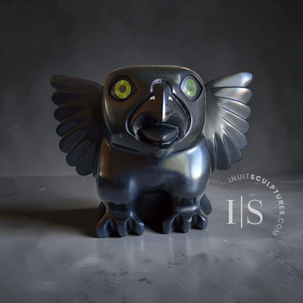 11" Owl by Toonoo y