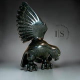 CURATOR'S CHOICE 17” SIGNATURE Owl by Toonoo Sharky
