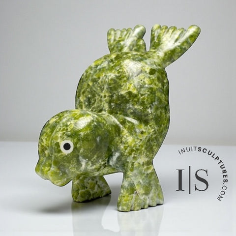 Transformation Hawk 7" avec deux têtes par Toonoo Sharky