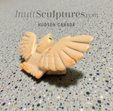 6" Owl by Toonoo Sharky *Christmas Owl*