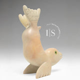 5" Seal Transformation by Toonoo Sharky *Look At Me, Mom!*