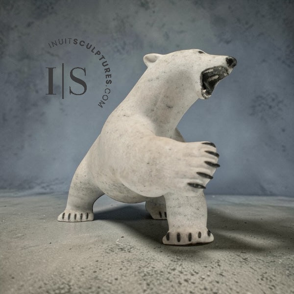 12" Polar Bear by Paul Malliki *Swipe Left*