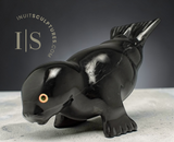 11" Seal by Toonoo Sharky