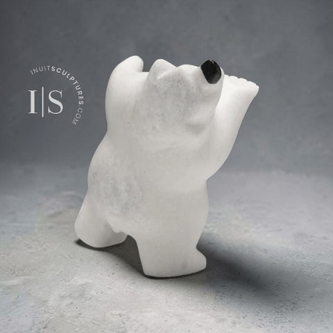 Ours dansant 8" de David Shaa *Tour penchée de Pise*