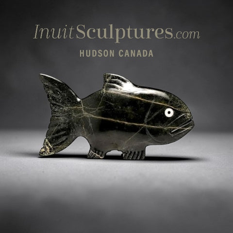 Omble chevalier 16" par Tuk Nuna *Nemo*