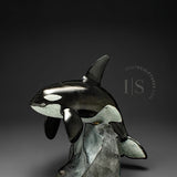 BALEINE ORQUE SIGNATURE de 25 cm par Derrald Taylor *Franchir l'obstacle*