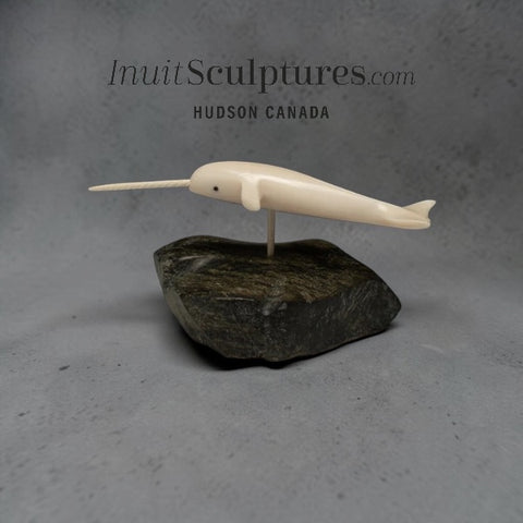 5" Narwhal by Paul Tegumiar *Heat Seeking Missle*