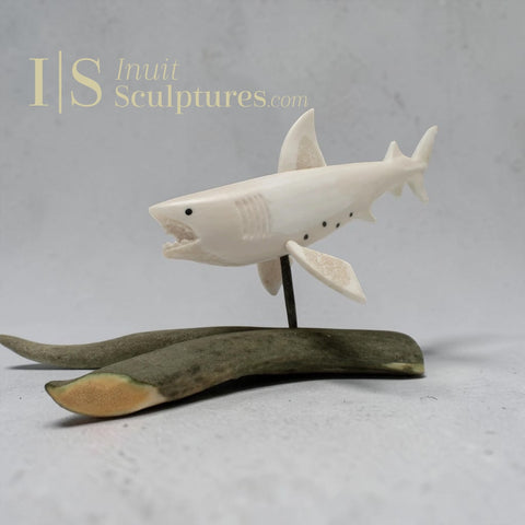 12" Alaskan Shark by Harrison Miklahook Jr