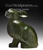 16" Arctic Hare by Johnny Lee Judea *Thumper*