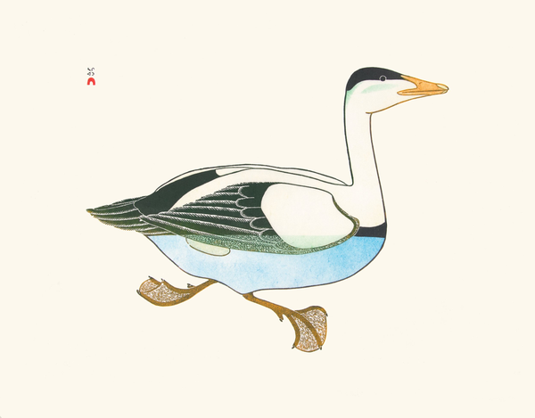 Sortie spéciale 2019, Amauliq en mer, 1984 par KANANGINAK POOTOOGOOK