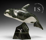 10" Orca  by Johnnysa Mathewsie *Oceans Away*