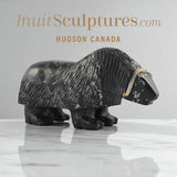 Bœuf musqué 10" par Louie Uttaq Gjoa Haven *Tank*