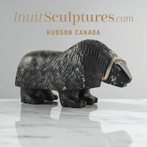 Bœuf musqué 10" par Louie Uttaq Gjoa Haven *Tank*