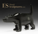 Loup 8" par Pits Qimirpik *Loup-garou américain au Nunavut*