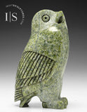 8" SIGNATURE Owl by Pits Qimirpik *Fleeting Green*