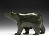 8” SIGNATURE Walking Bear by Tim Pee *Mattie*