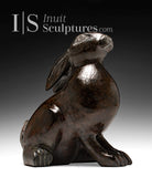 14" Arctic Hare by Matto Oaklik *Brown Eyed Girl*