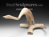 12" Muskox Horn Crane by Buddy Alikamik *Willem*