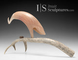 16" SIGNATURE Muskox Horn Crane with Egg  by Buddy Alikamik *Thea*