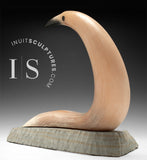 14"  Muskox Horn Crane by Charlie Ookpik Gjoa Haven