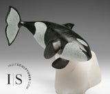 BALEINE ORQUE « SIGNATURE » 8 po par Derrald Taylor *Whirly Bird*