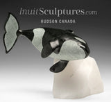BALEINE ORQUE « SIGNATURE » 8 po par Derrald Taylor *Whirly Bird*