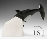 BALEINE ORQUE « SIGNATURE » 8 po par Derrald Taylor *Whirly Bird*
