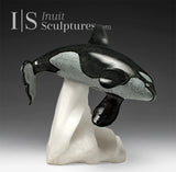BALEINE ORQUE « SIGNATURE » 8 po par Derrald Taylor *Whirly Bird*