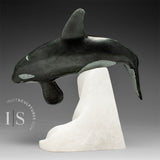 BALEINE ORQUE « SIGNATURE » 8 po par Derrald Taylor *Whirly Bird*