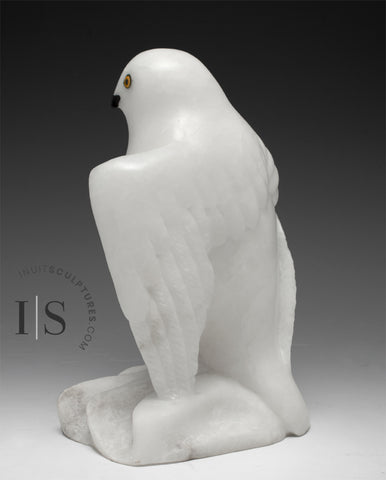 8" Snowy Owl (Uppik) Master Carver Derrald Taylor