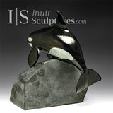 BALEINE ORQUE SIGNATURE de 25 cm par Derrald Taylor *Franchir l'obstacle*