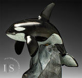BALEINE ORQUE SIGNATURE de 25 cm par Derrald Taylor *Franchir l'obstacle*