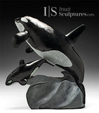 14" SIGNATURE Mother & Calf Orcas  Derrald Taylor *Determination*