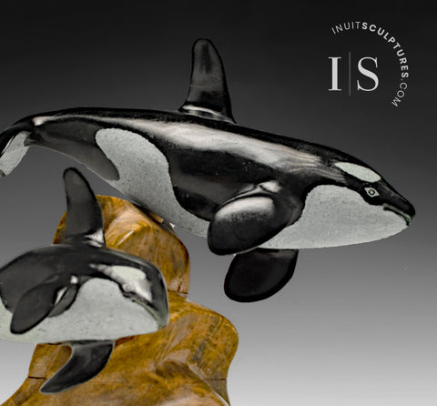 9" SIGNATURE Orcas by Derrald Taylor *Basil and Blue*
