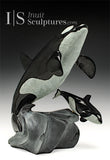 14" SIGNATURE Mother & Calf Orcas  Derrald Taylor *Determination*