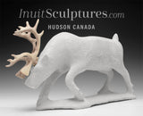 Caribou SIGNATURE 13" par Esau Kripanik *Forging Ahead*