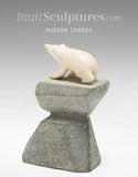 3" Miniature Ivory Bear by Simon Kudlistiak *Diamond Girl*