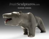 Ours ambulant 14" avec langue rouge par Jimmy Iqaluq *Chevron*