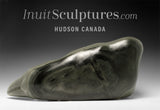 VINTAGE** 16" Basking Walrus by Samwillie Iqaluq *Titan*