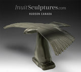 20" Hawk by Joe Sala